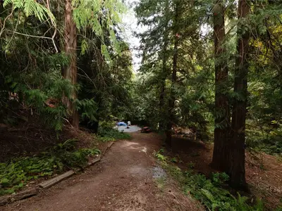 View 66