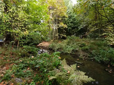 View 81
