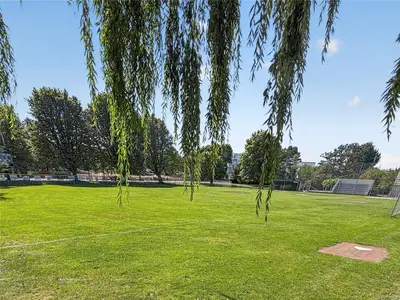 View 25