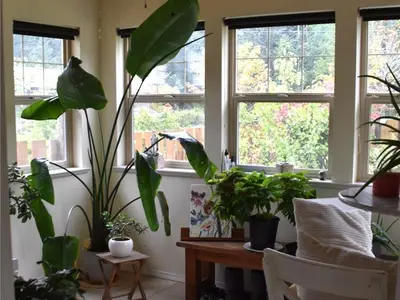 View 15