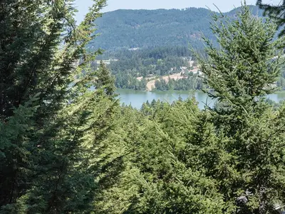 View 17