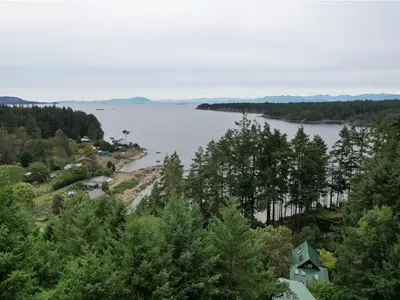 View 11