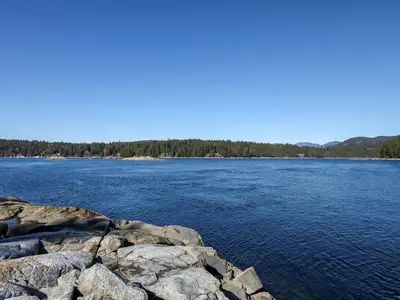 View 33