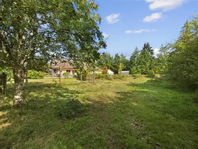 View 77