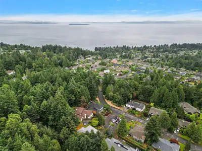 View 31