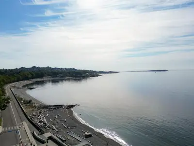 View 86