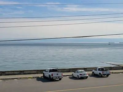View 44