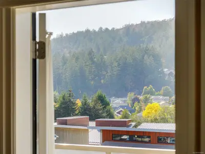 View 38