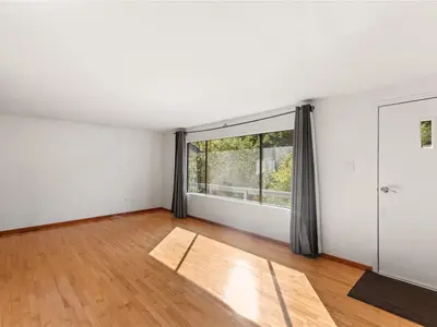 View 15