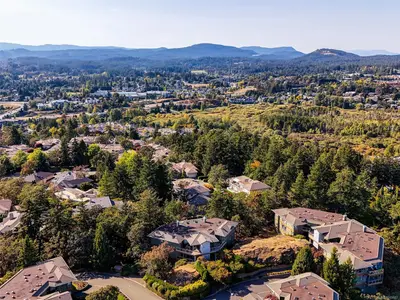 View 38