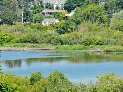 View 45