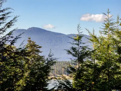 View 32