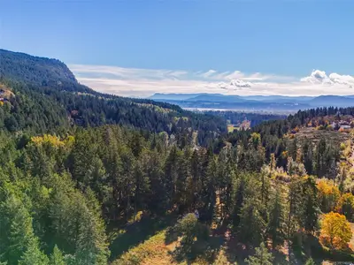 View 50