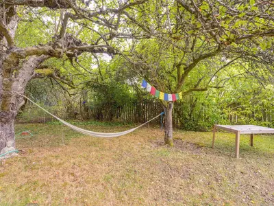 View 24