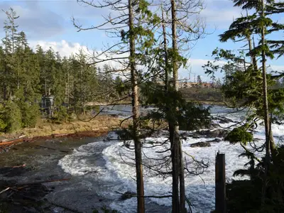 View 17