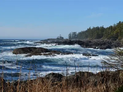 View 33