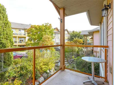 View 31
