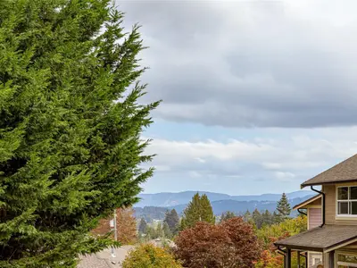 View 25