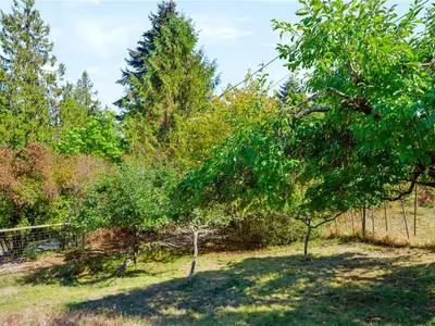 View 75