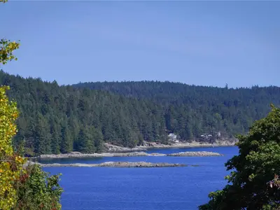 View 24