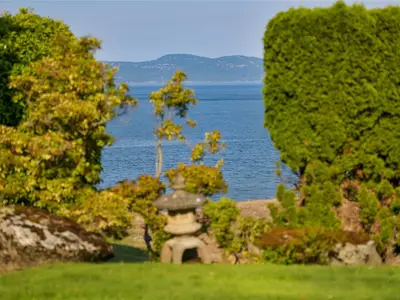 View 84