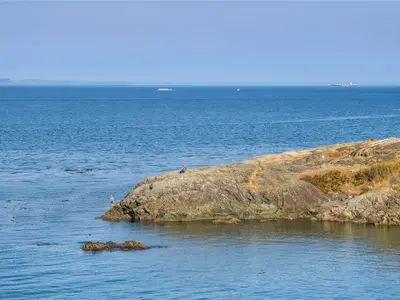 View 88