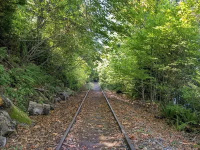 View 62