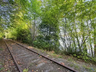 View 61