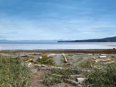 View 51