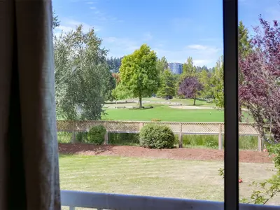 View 38