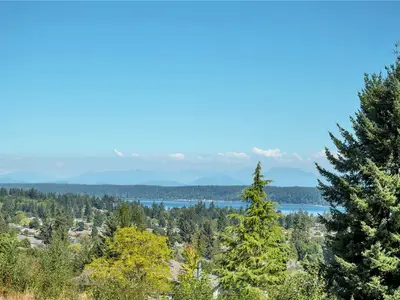 View 50