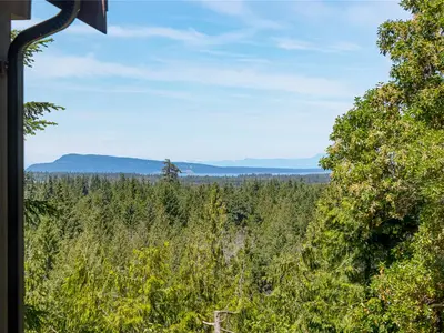 View 74