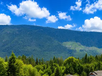 View 24