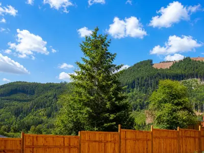 View 21