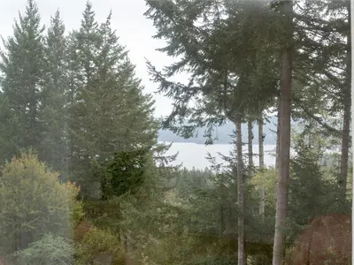 View 24