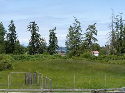 View 45