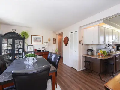 View 25