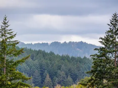 View 24