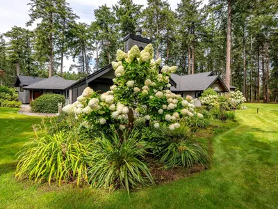 View 90