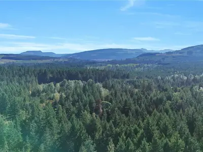 View 57