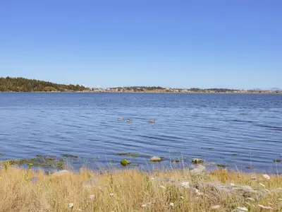 View 38