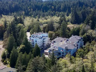 View 39