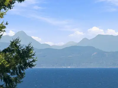 View 46