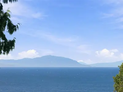 View 45