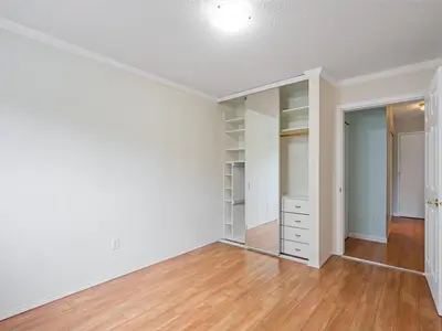 View 15