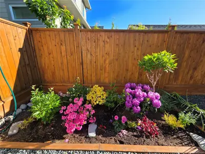 View 58