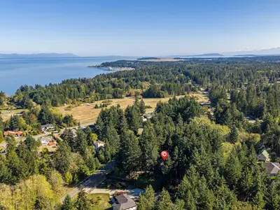 View 50