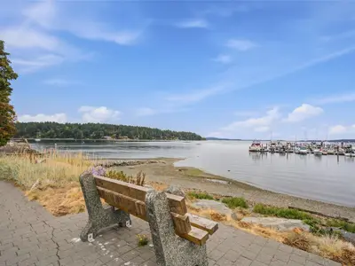 View 53