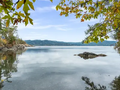 View 24