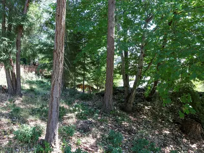 View 13